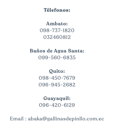  Télefonos: Ambato: 098-737-1820 032460812 Baños de Agua Santa: 099-560-6835 Quito: 098-450-7679 096-945-2682 Guayaquil: 096-420-6129 Email : abaka@gallinasdepinllo.com.ec 